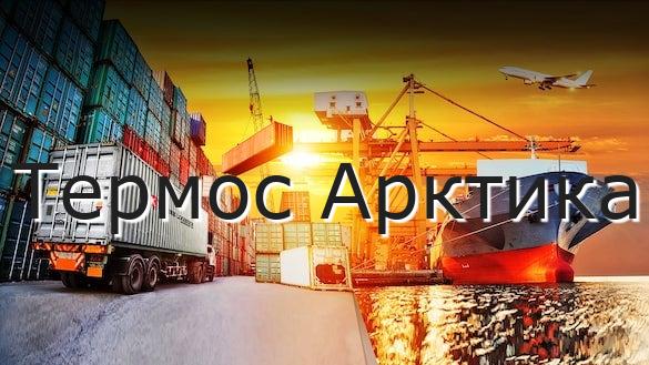 Термос Арктика